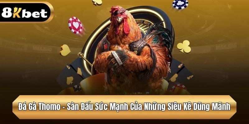 Đá Gà Thomo - Sàn Đấu Sức Mạnh Của Những Siêu Kê Dũng Mãnh