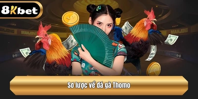 Sơ lược về đá gà Thomo