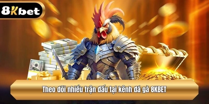 Theo dõi nhiều trận đấu tại kênh đá gà 8KBET